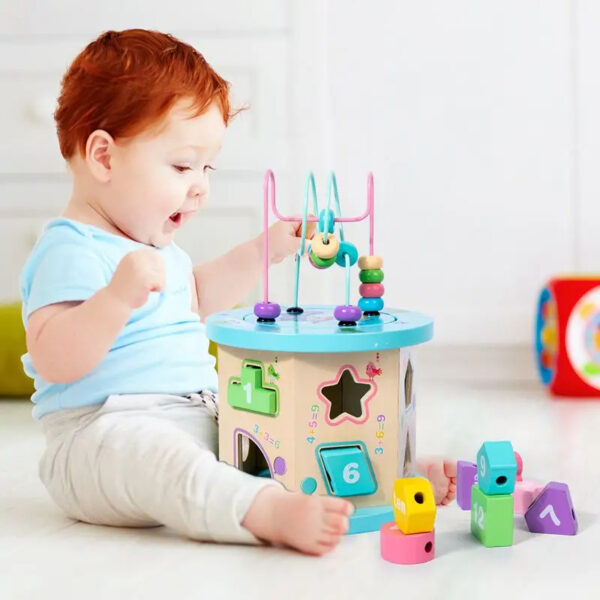 2in1 Activity Cube